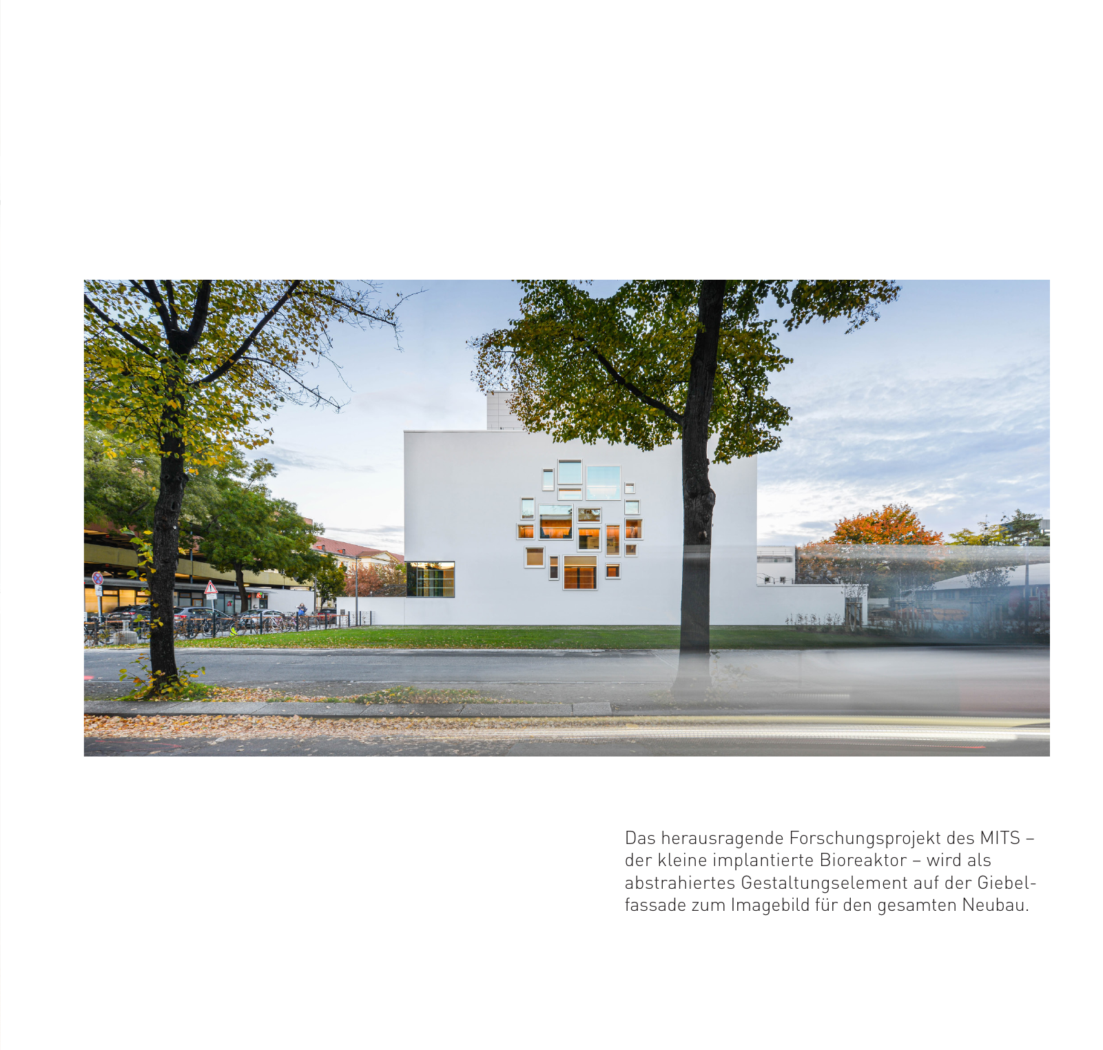Vorschau Jahrbuch 2022 - Deutsch Seite 19