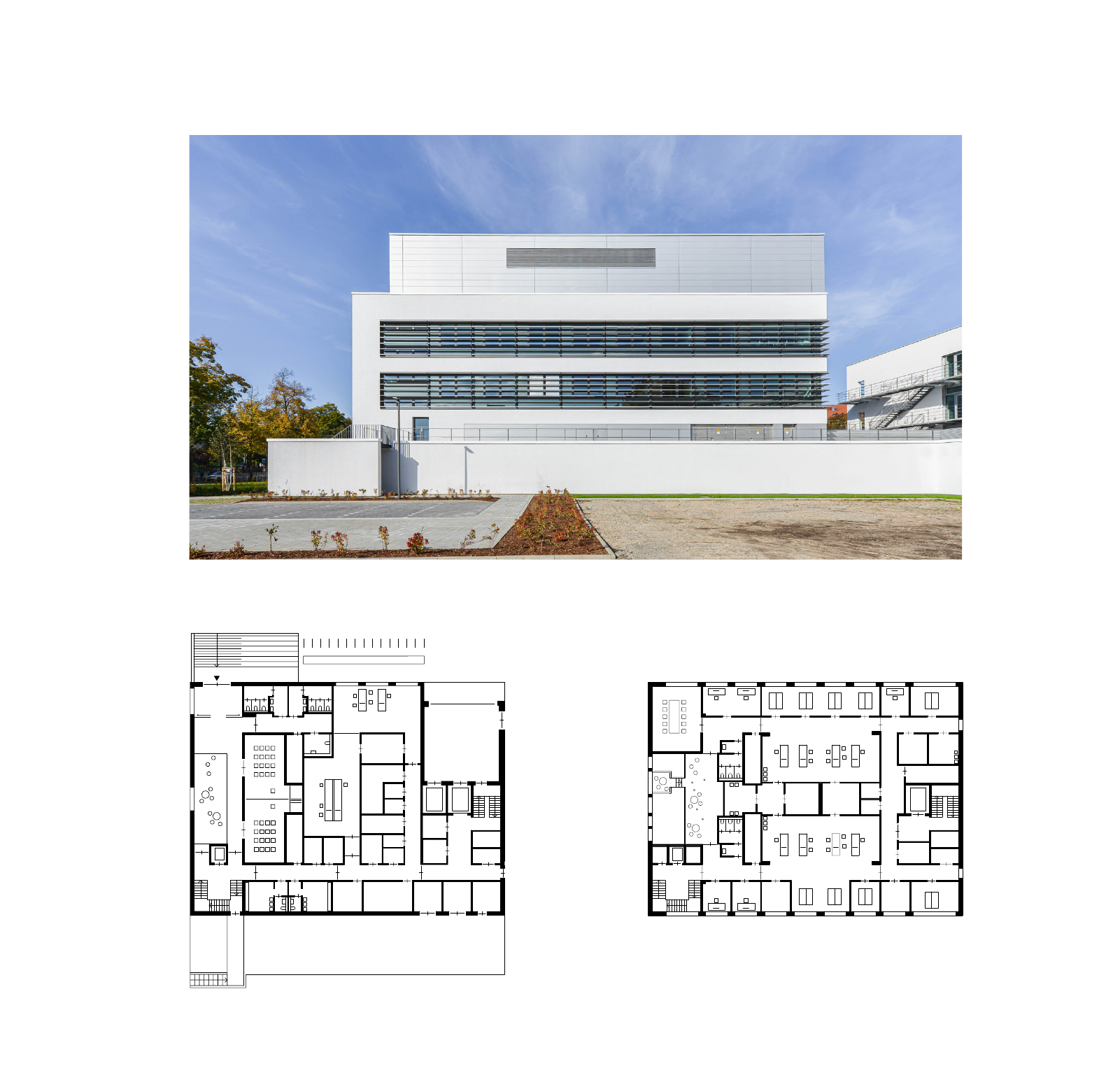 Vorschau Jahrbuch 2022 - Englisch Seite 13